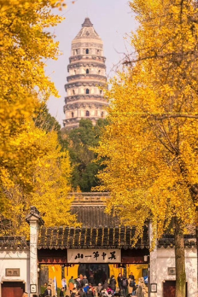 一到秋天，苏州就成了千年姑苏城。 ​ ​​​