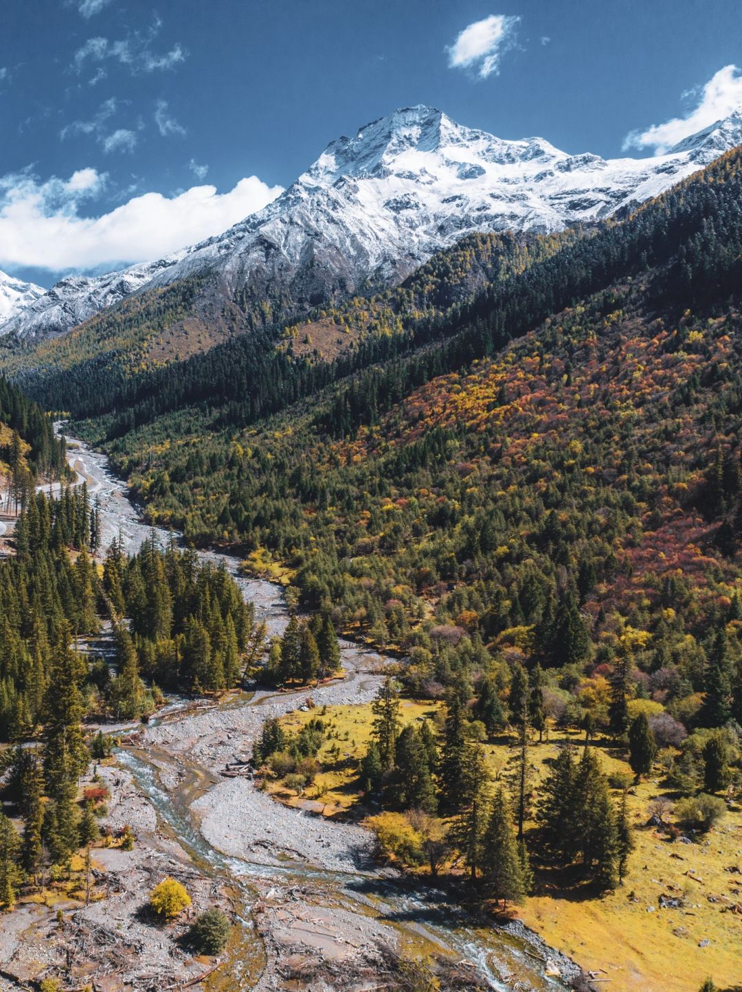 成都周边，免费的雪山彩林露营地🏕️