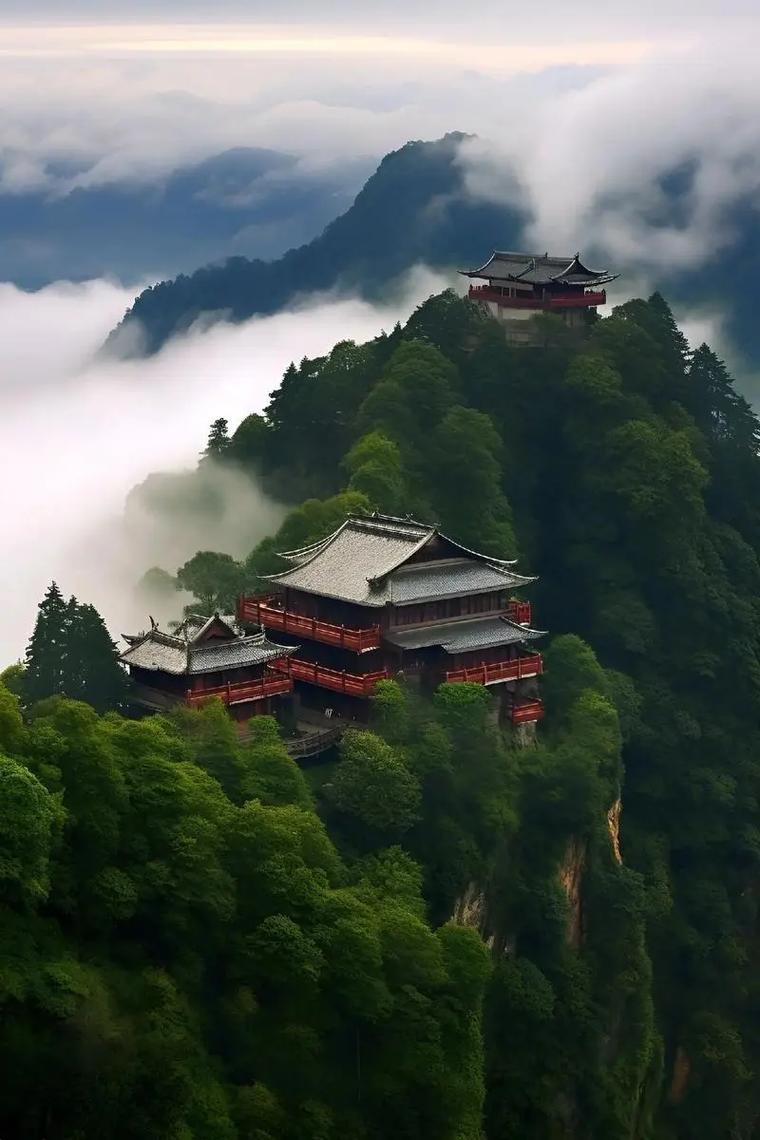 武当山的自然环境对长寿影响显著，从古树就能看出端倪。金顶海拔1612米，气温低、