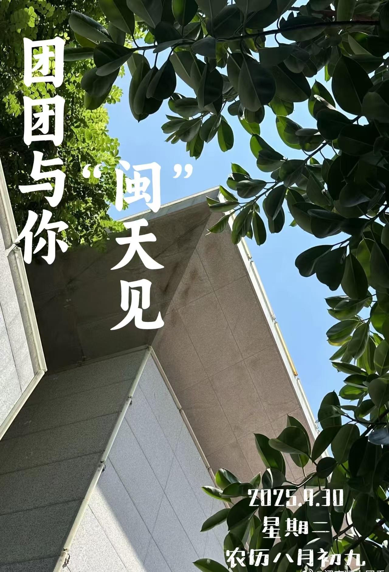 ⌛楼如磐石，立出一方沉稳；叶似翠绸，织就满庭清柔。灰墙映日，尽展建筑风骨；绿枝拂