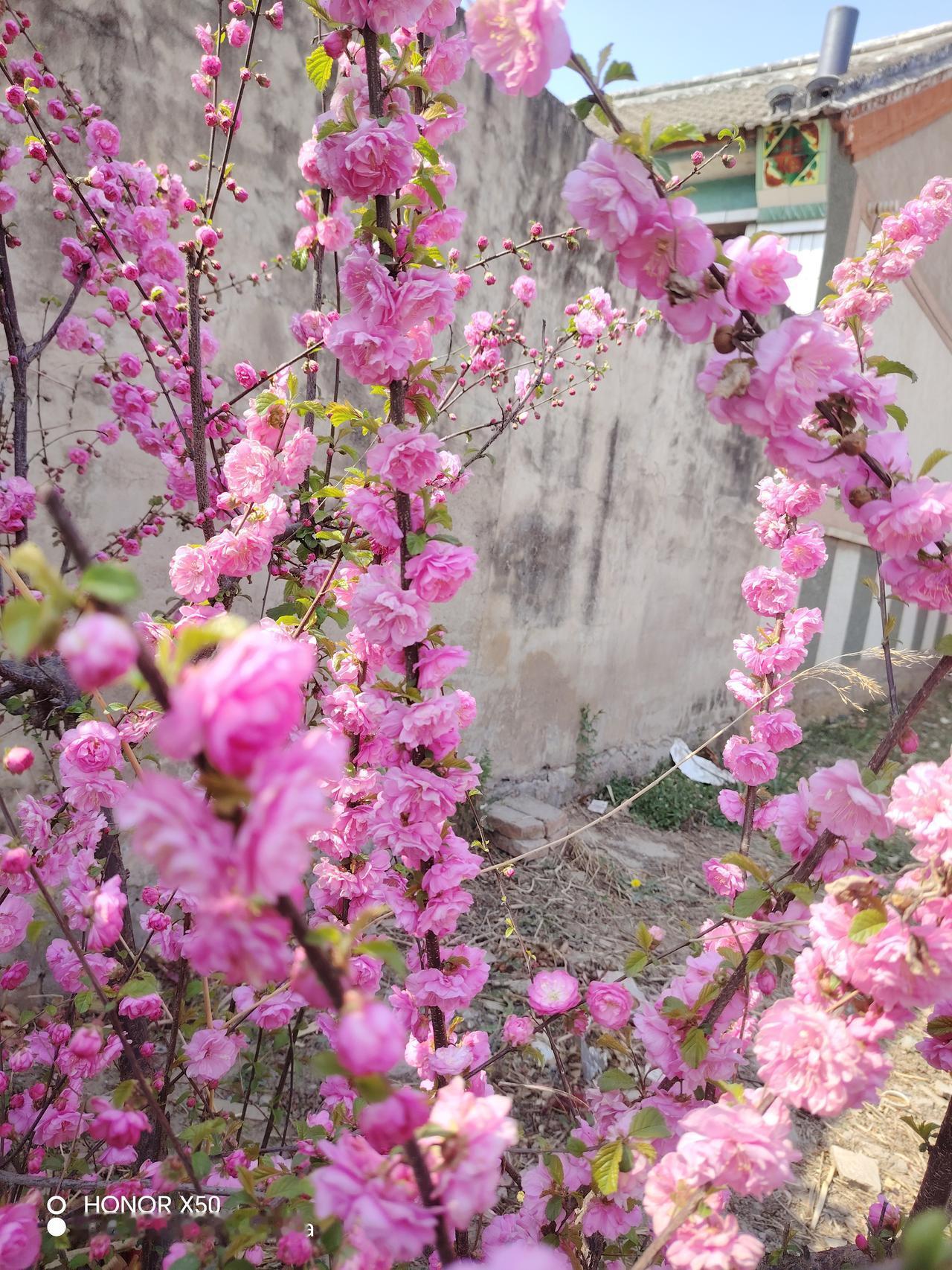你会如何晒出春日格调？春天来了，万物复苏，春暖花开，小草绽出新绿，柳枝吐出新芽，