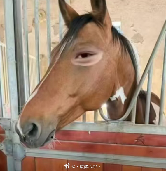 对不起，我错了 