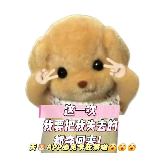 春日骑行，遇到了心软的神