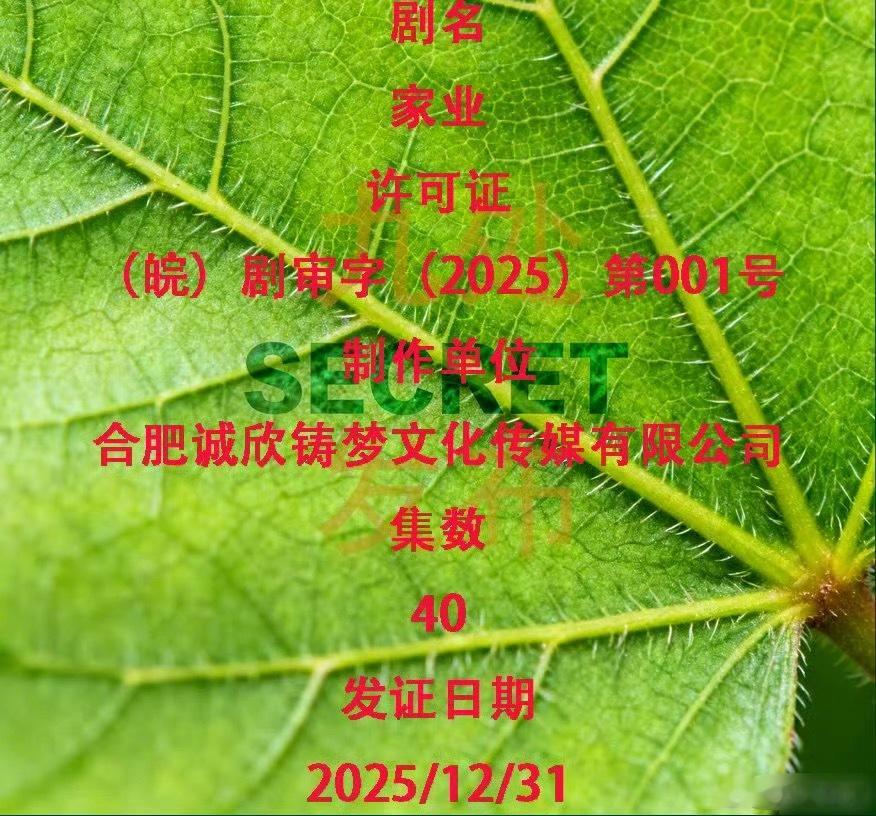 杨紫《家业》过审下证家业下证