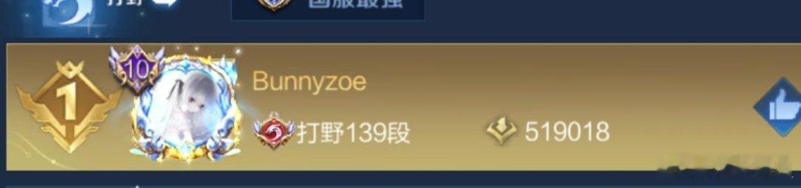 瓜友速报 钟意打野139段 