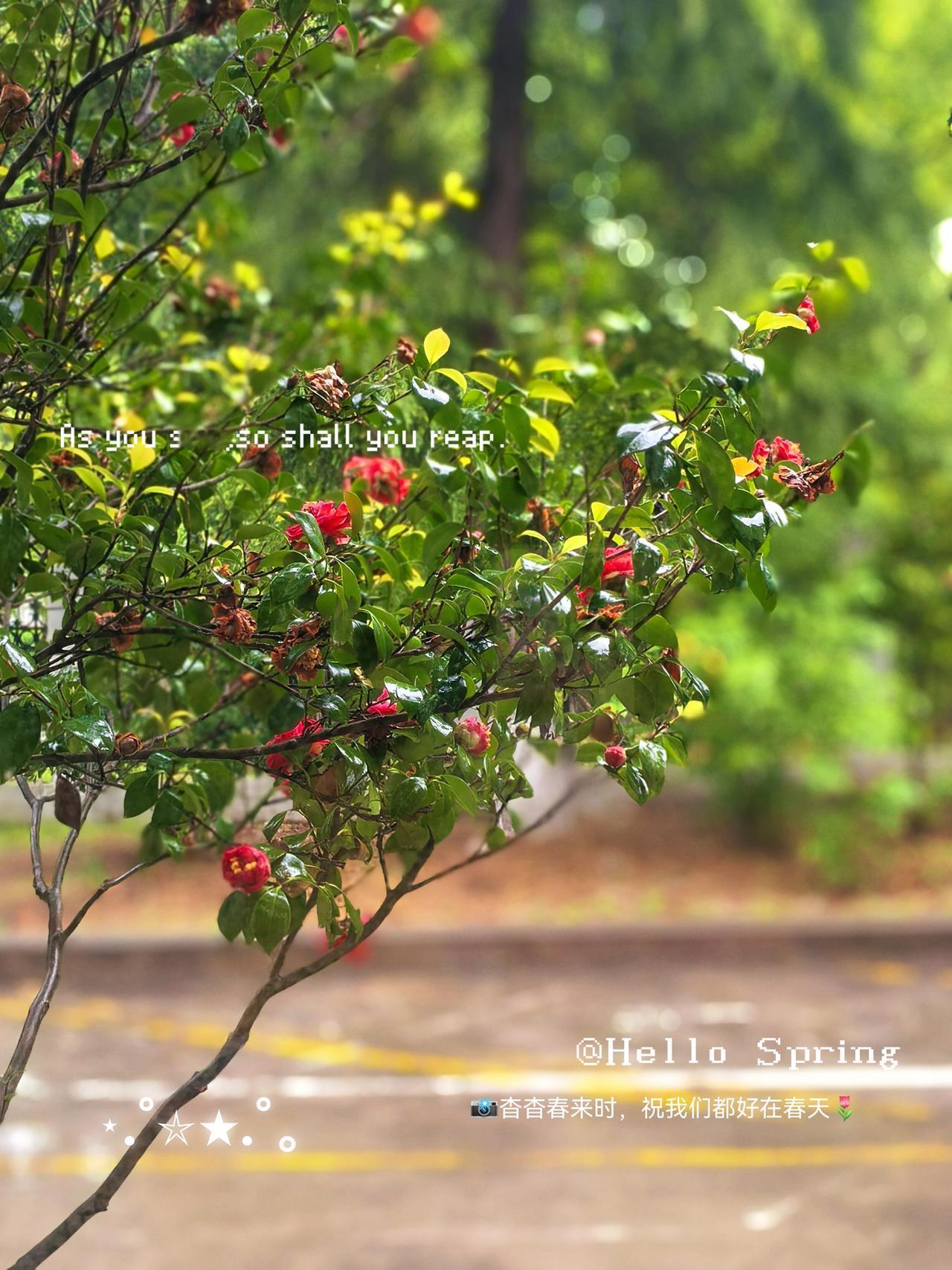 情绪像天气，
下雨了就撑伞，
不用骂天空。