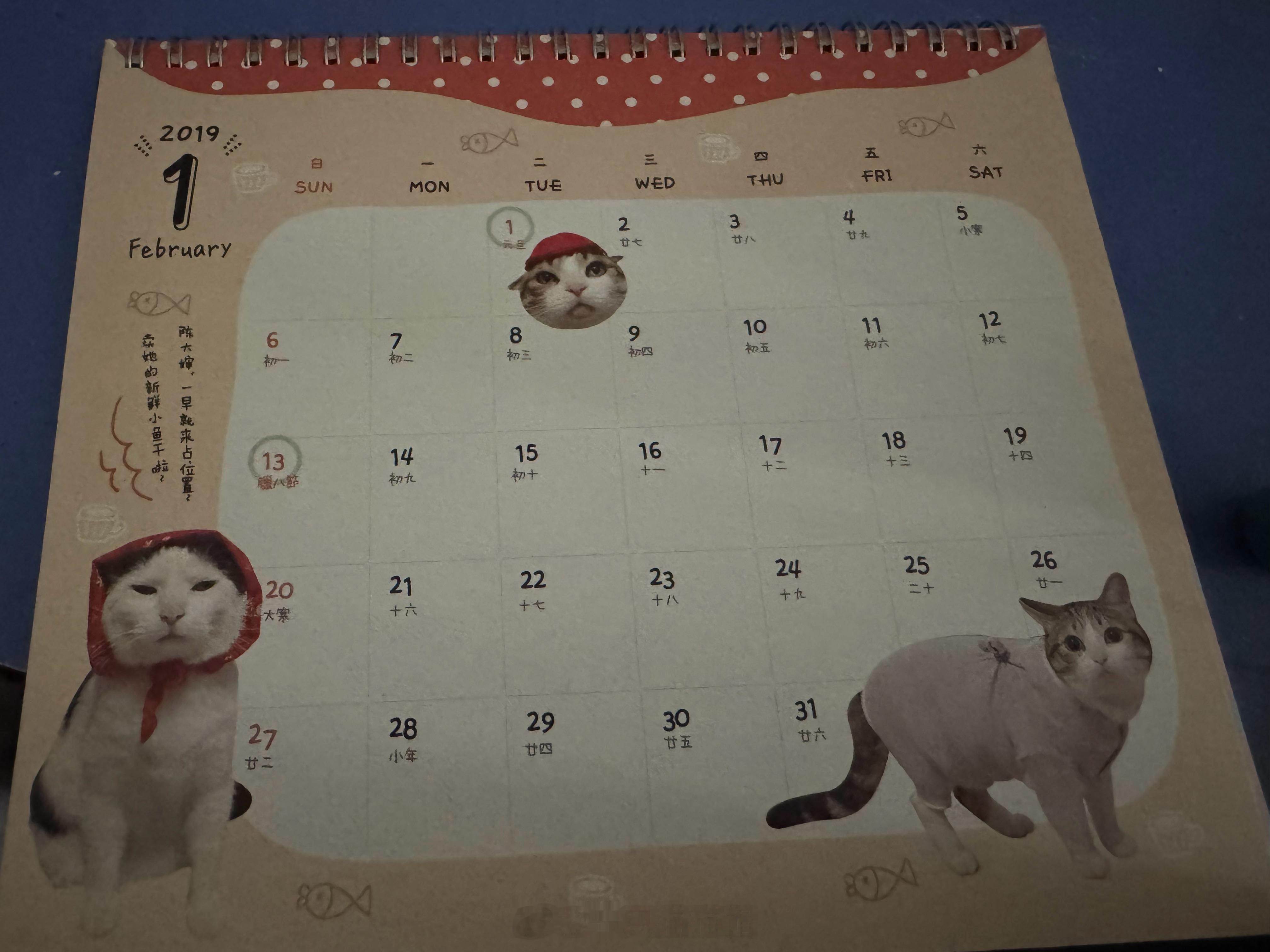 搬家甚至能清理出我2018年买的日历。。。我到底多舍不得扔东西 带着它搬了多少次