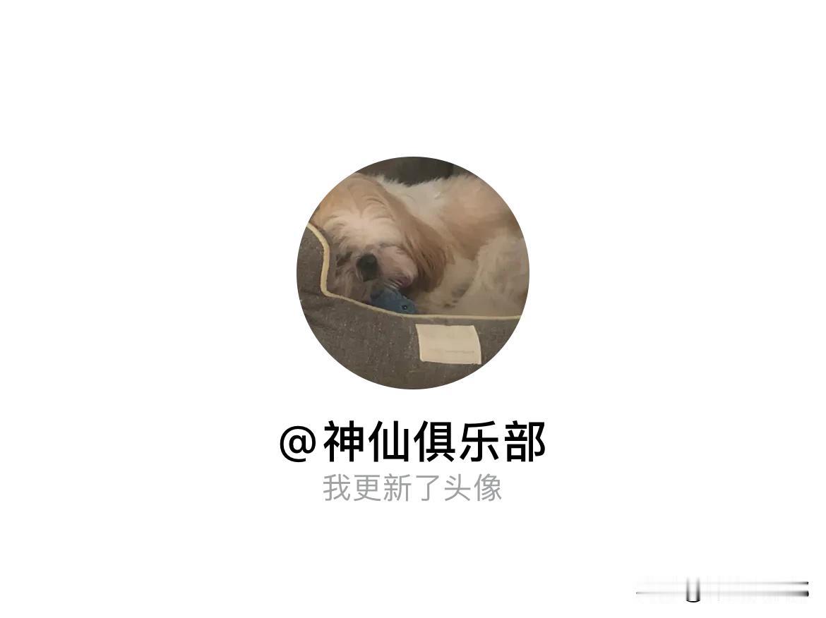 快来看看我新换的头像吧