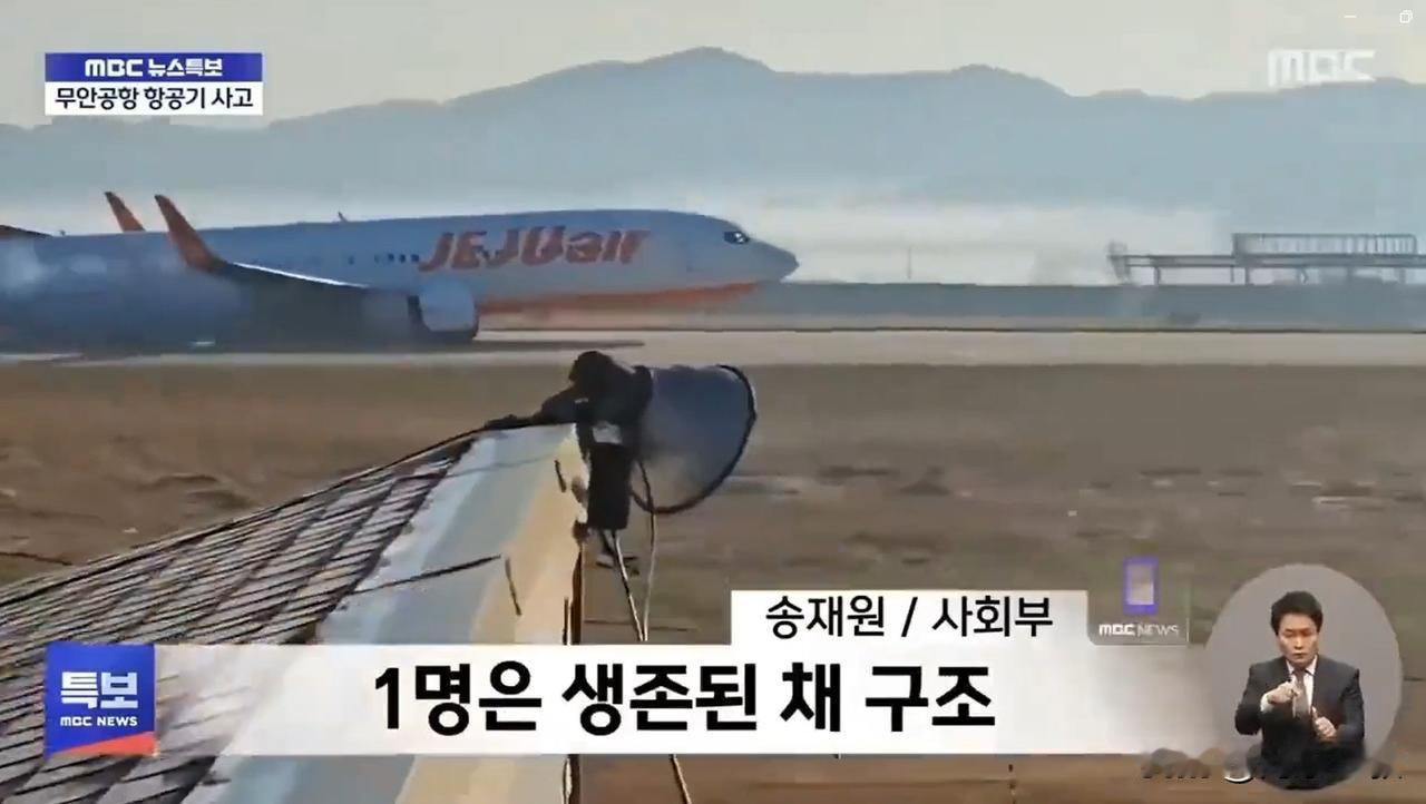 韩国波音737-800客机失事后，此前报道称飞机是在低空降落时，遭到飞鸟撞击导致