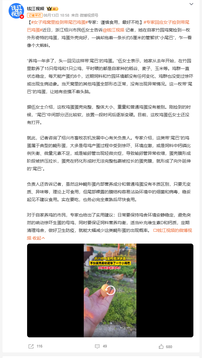 女子鸡窝里捡到带尾巴鸡蛋 绍兴市民在自家竹园鸡窝捡到一枚拖着五厘米长尾巴的畸形鸡