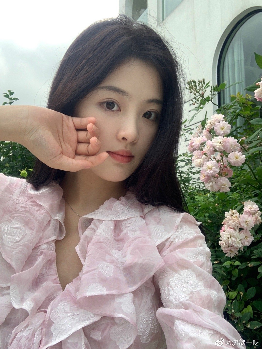 🌸🌸🌸 ​​​