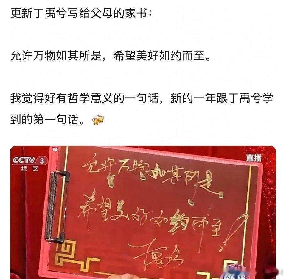 丁禹兮采访被网友夸赞