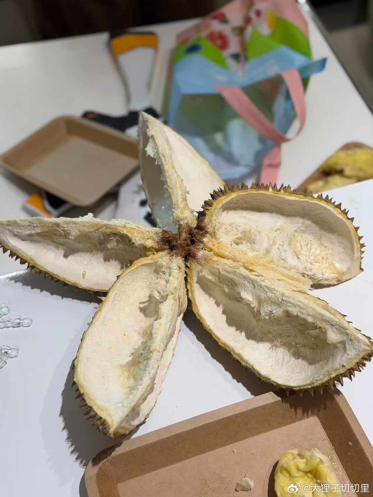 带了个报恩榴莲来工作室给小伙伴们吃，还没来得及拍照就瓜分完了，谁懂这种湿包榴莲?
