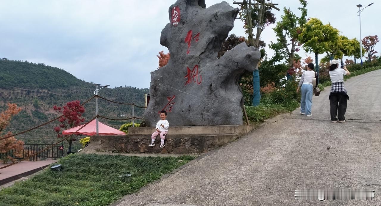 今天去永州红枫谷玩了，山高路陡，胆战心寒。
孙女两岁半了，喜欢照相，照了无数张，
