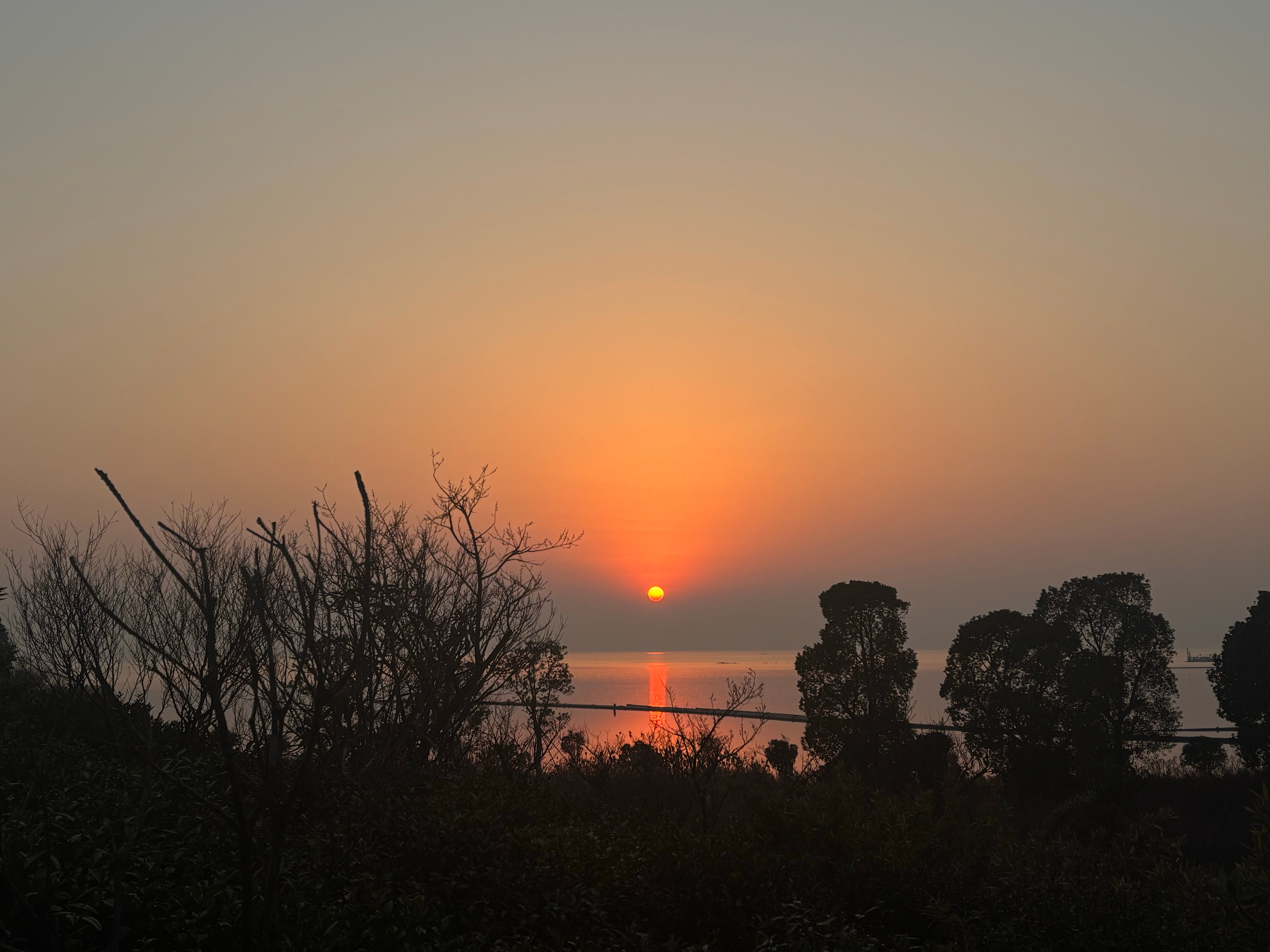 来这鸟不拉屎的地方 团建花那么多钱 难吃死了 看着这群人装就烦 吃两口我就回房间