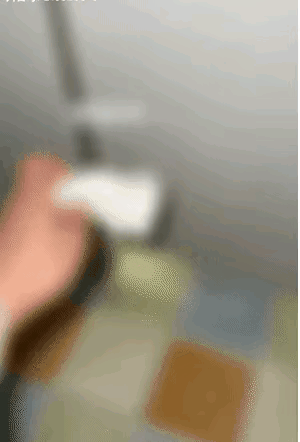 图1：期待美食中的家伙，看得出来它是很饿了。