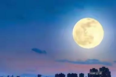 市民称夜间月光过亮影响睡眠，向12345提出整改要求？如此奇葩要求，让人大跌眼镜
