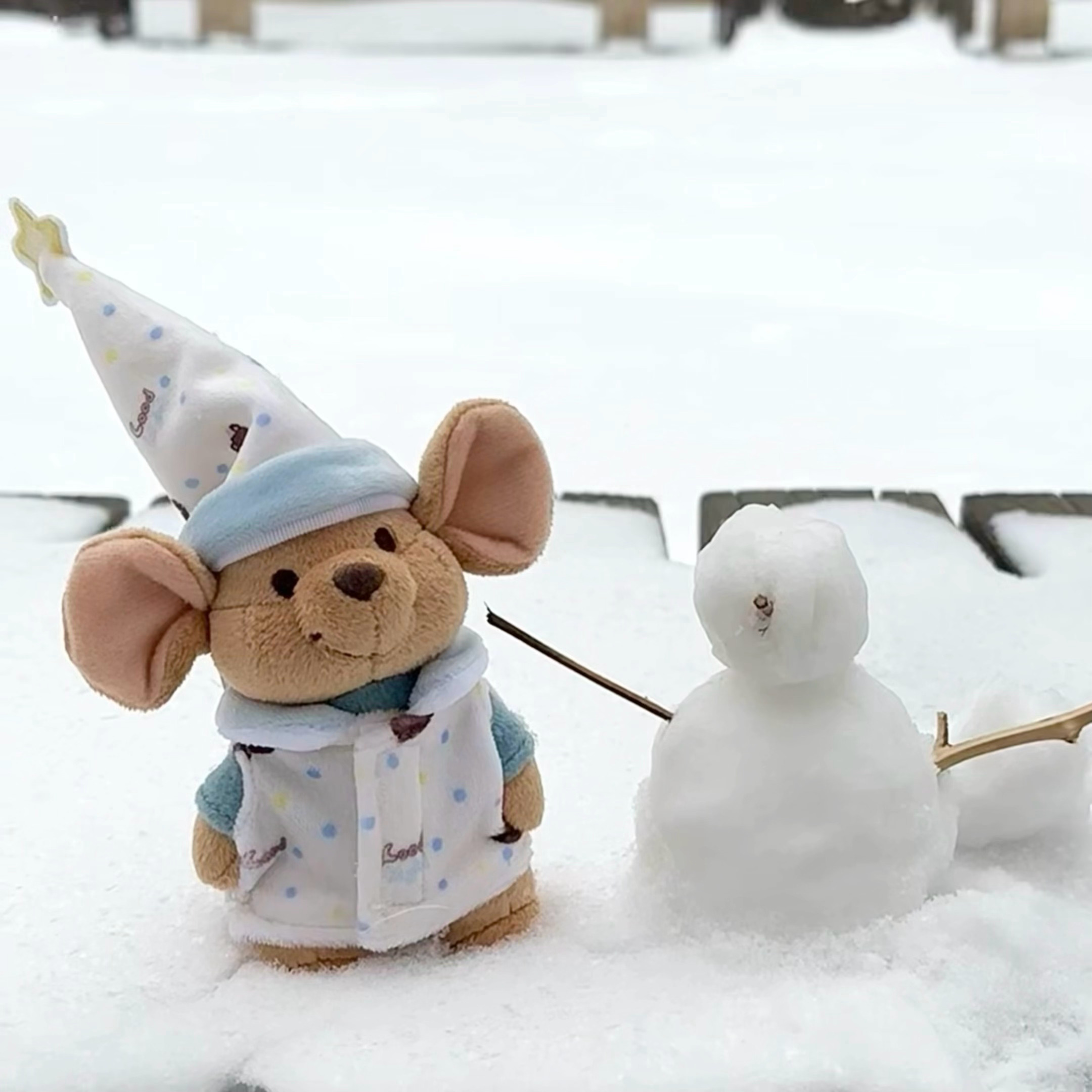 下雪天の小豆🌨️ 