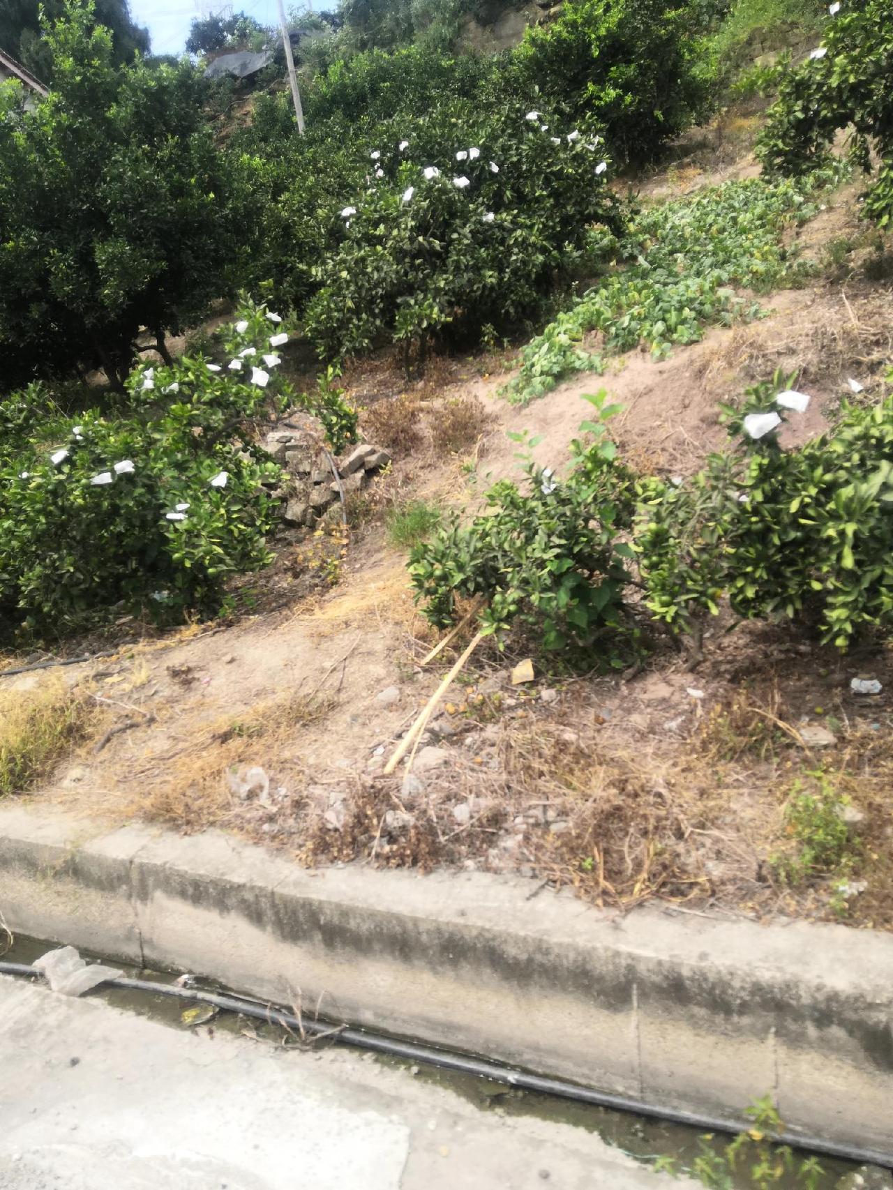 去红泉乡村路上，第17集
