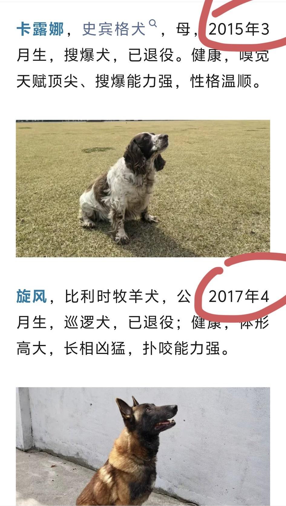 上海确实不一样，狗狗都要辛辛苦苦上班！警犬退休了，大家可以去领养，我有几个小问题
