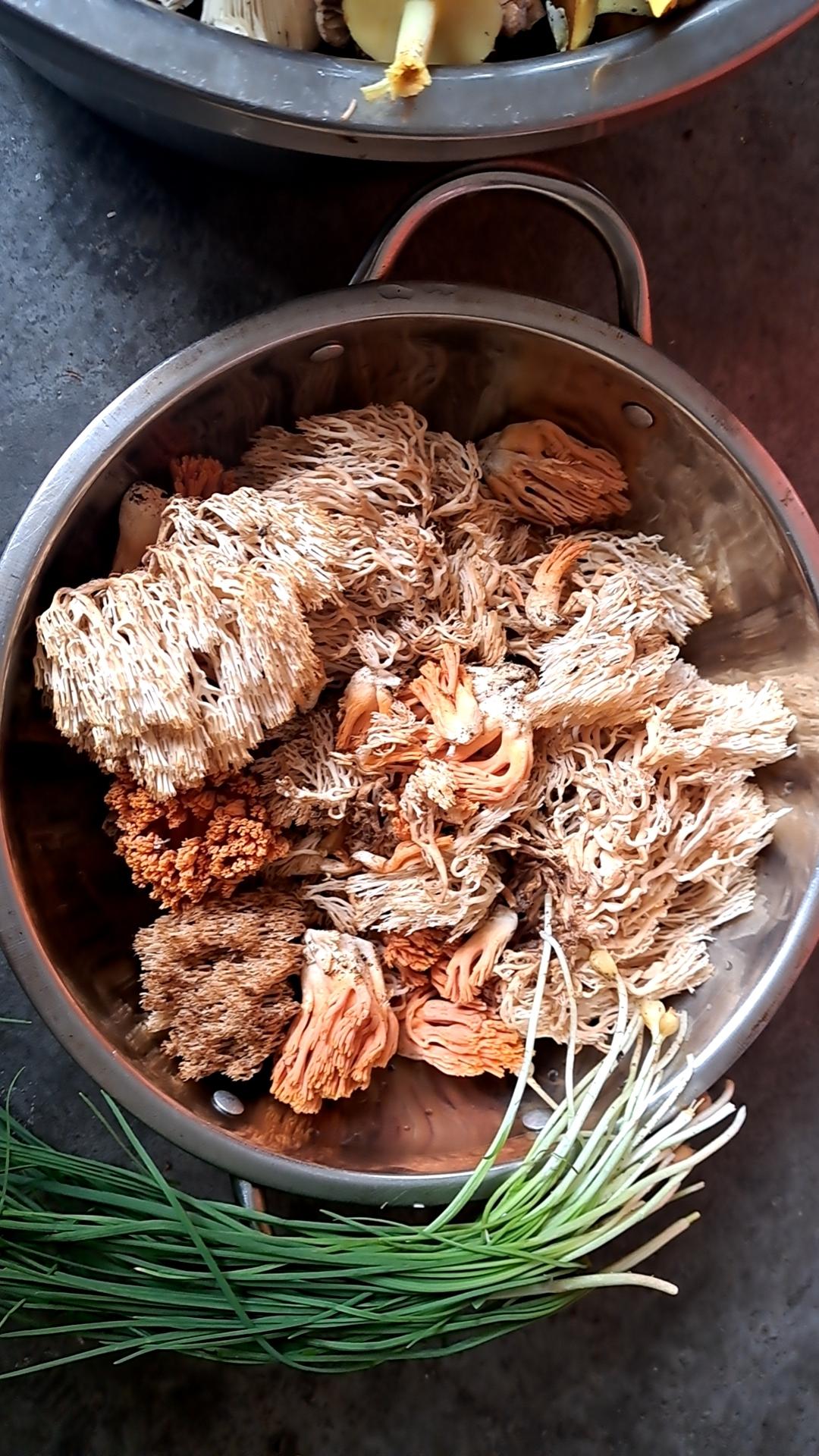 蘑菇是这样捡的，宝子们，你们的国庆还快乐么？[捂脸][捂脸][捂脸][捂脸]