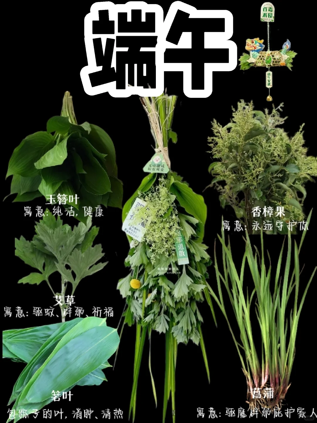 【端午】端午将至，门口要挂上菖蒲了