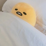 蜜儿侃侃科技