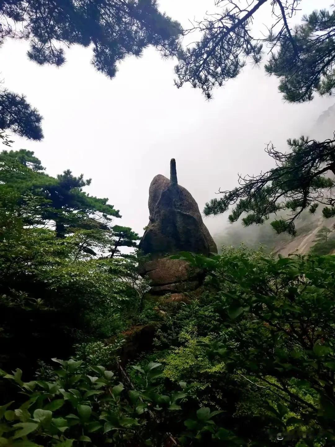 赞抖音上的美女

抖音搞笑谁都夸，
个个美得一朵花。
甩胸翘臀妆美颜，
莫把南瓜