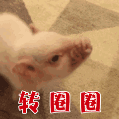 真争气啊，衬托的国足一线队像猪头中国U23国足vs乌兹别克斯坦U23 ​​​