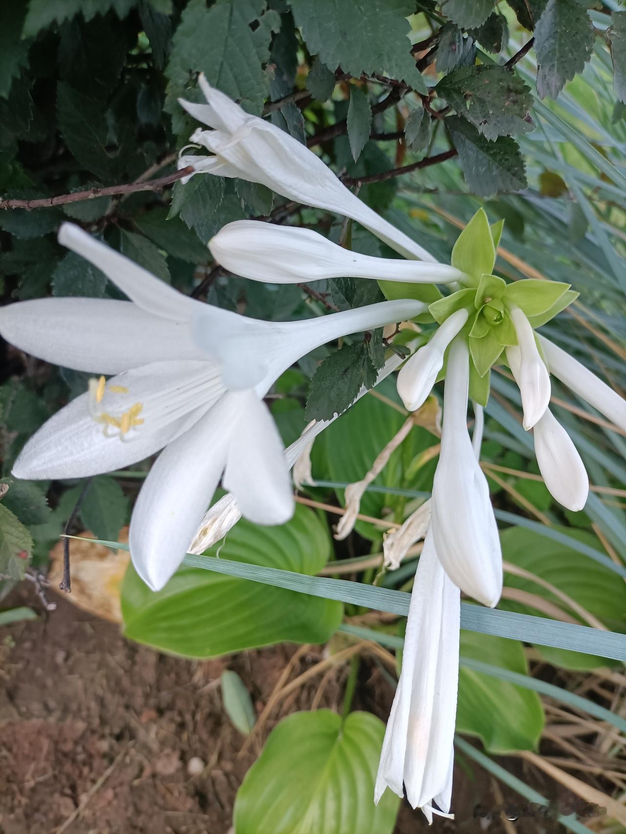 现代生活远比古代好‌。古代确实有诗意和慢节奏的一面，但那是极少数权贵才能享受，普