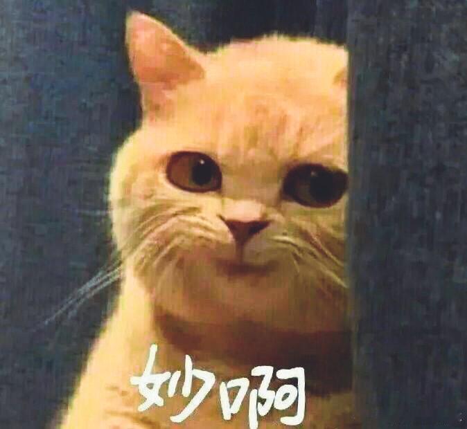 00后最爱在深夜11点做互联网善人 在今年6月后，所有的00后已经都完成了九年义