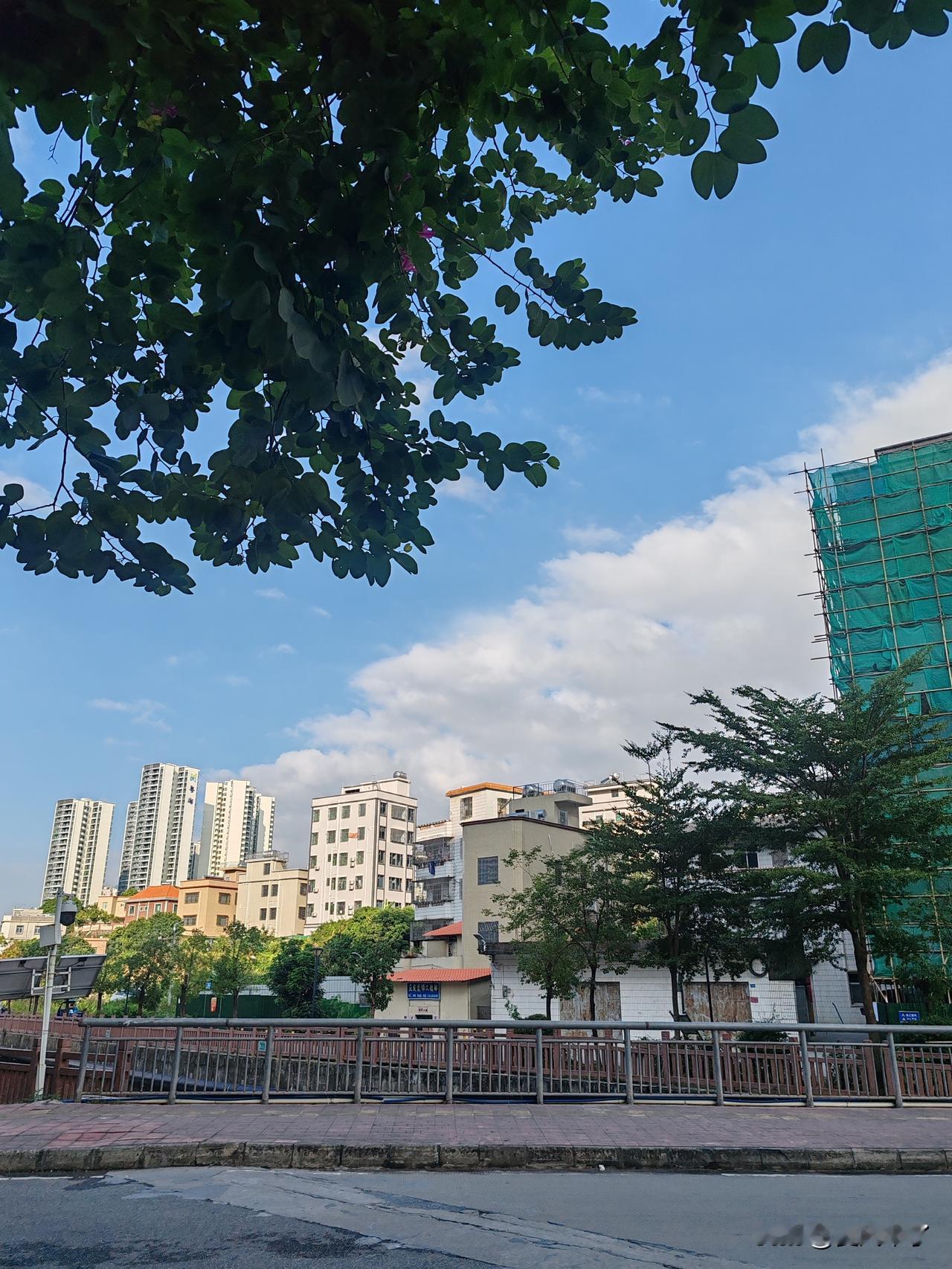 城市绿意盎然，高楼林立，生活静好