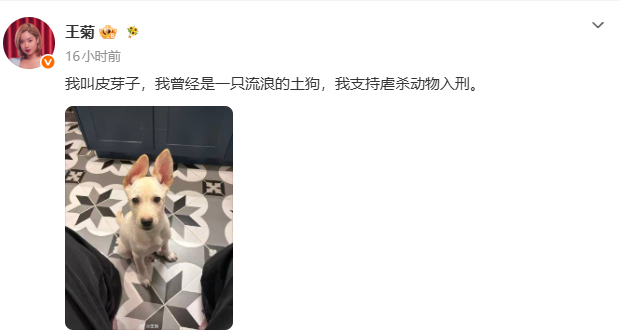 王菊支持虐杀动物入刑王菊发文支持虐杀动物入刑 菊姐仁义！支持！ 