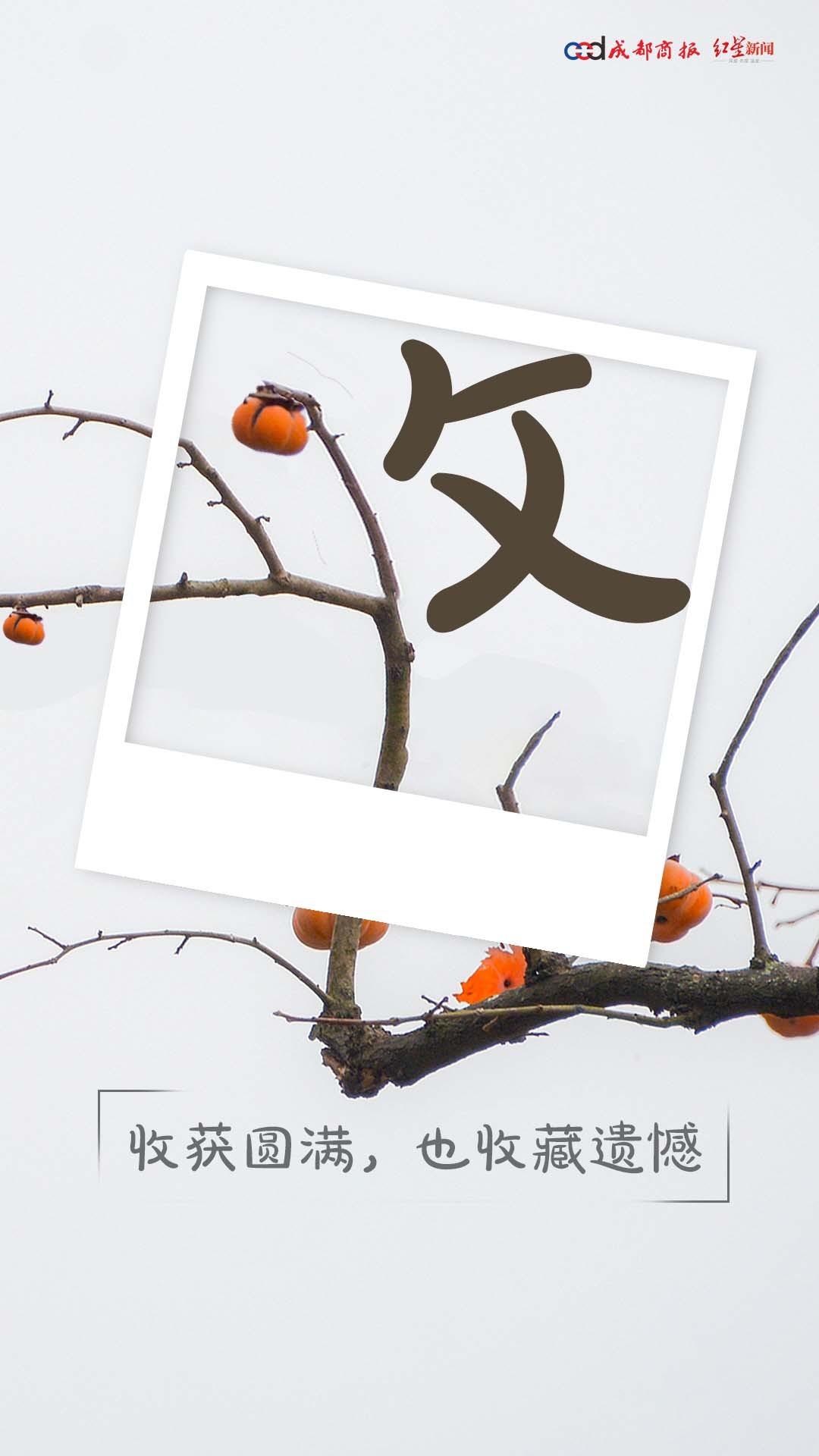 【#一人一句告别11月#】今天，11月最后一天，2025年已经步入最后一个月，之