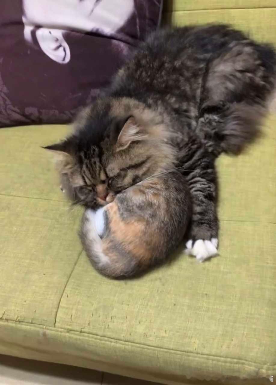 50334【丑猫】心灵丑把妹妹当枕头睡 