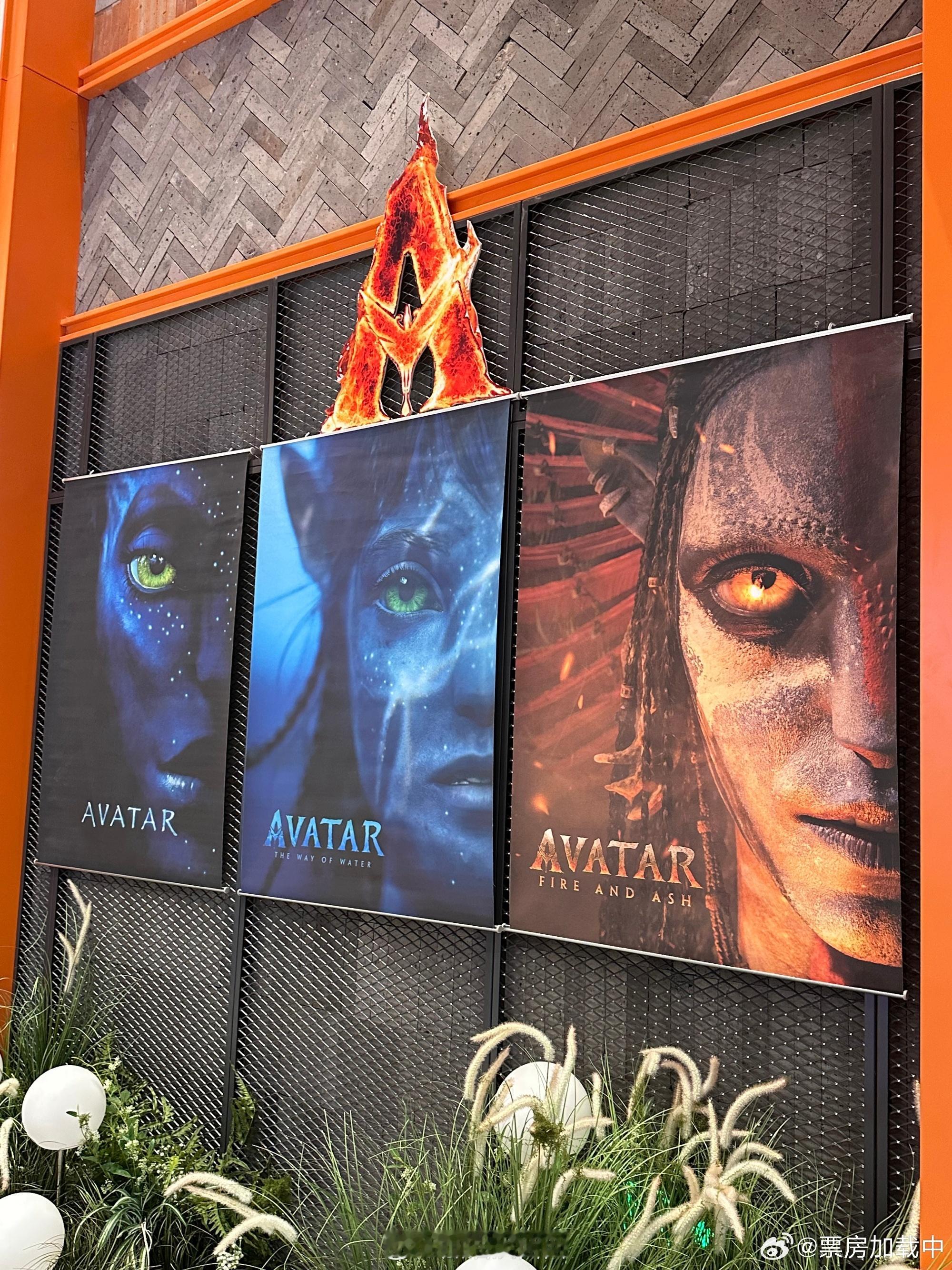 阿凡达3阿凡达3正式上映，有准备去看的吗？不用担心电影票太贵，我的经验是可以去?