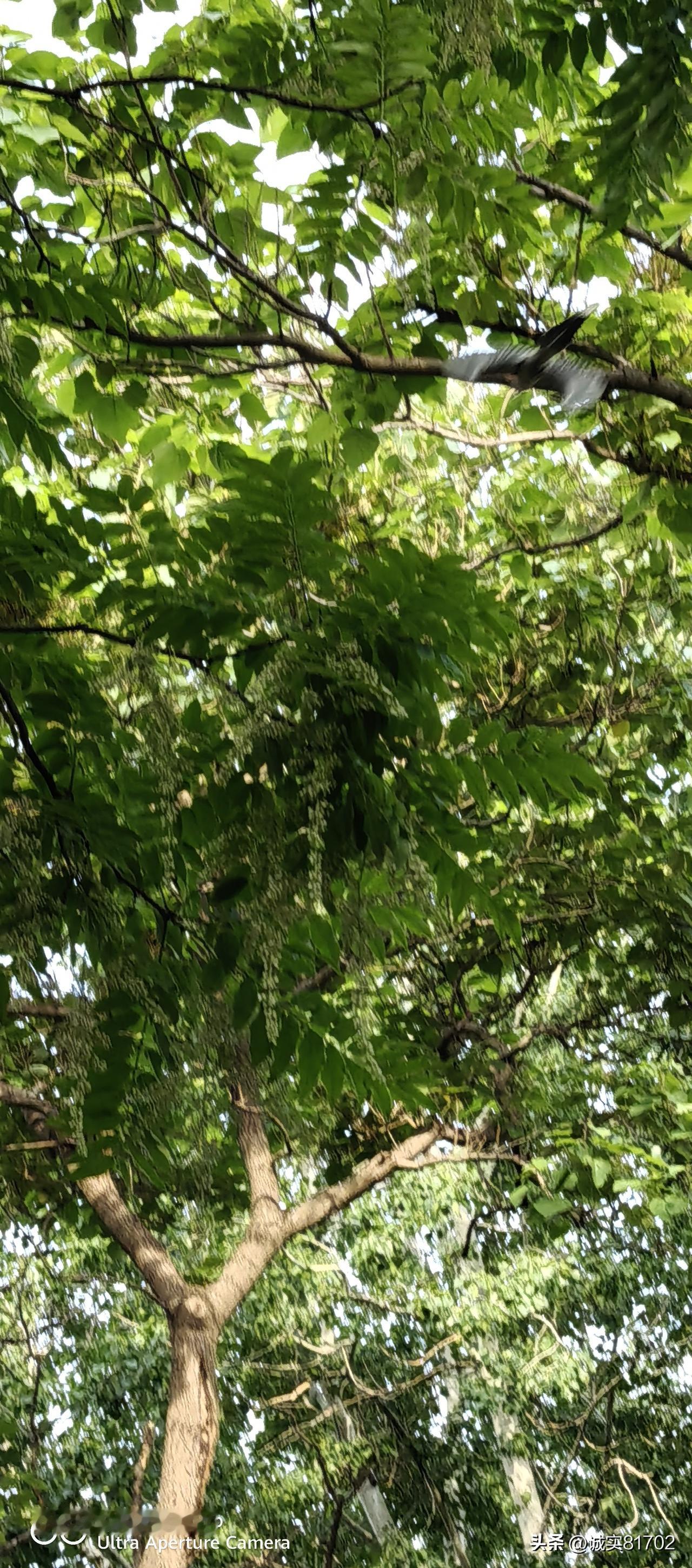 晒图笔记大赛