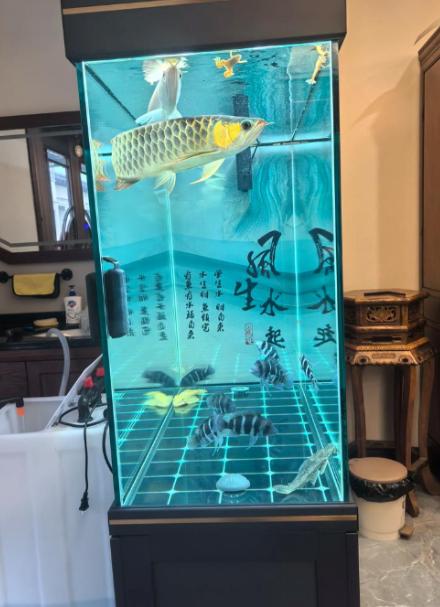 山东，一男子养了3年多的银龙鱼死了，正在鱼缸前伤心难过，妻子过来了，脱口一句：“