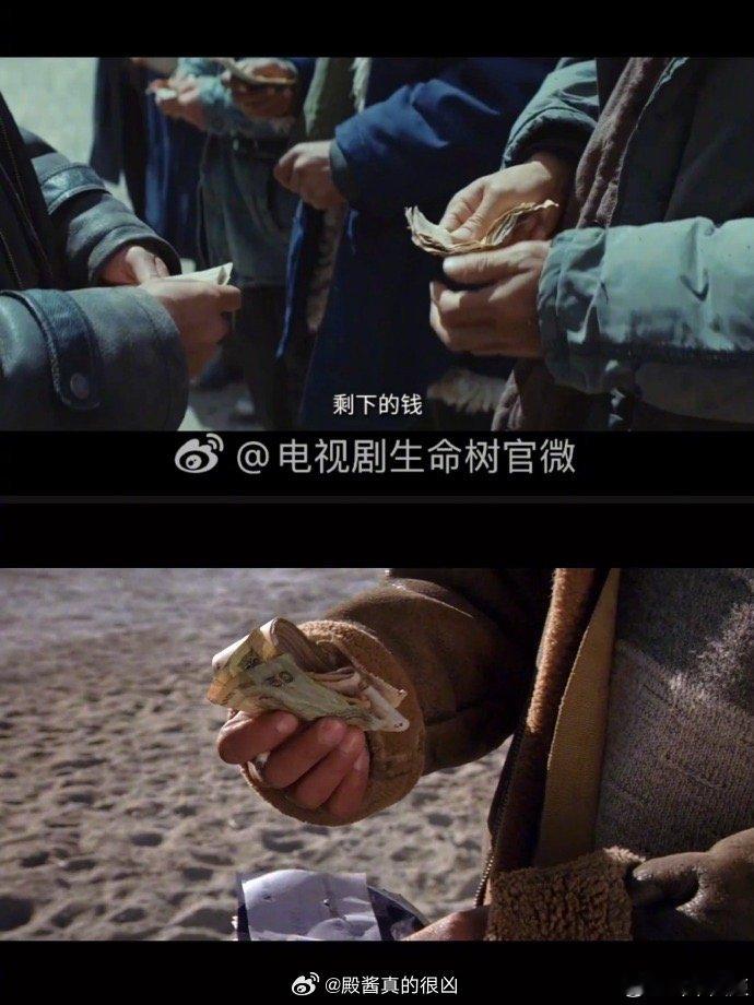 有网友指出《生命树》和陆川的《可可西里》有大量相同场景，有些连点位都一模一样。大