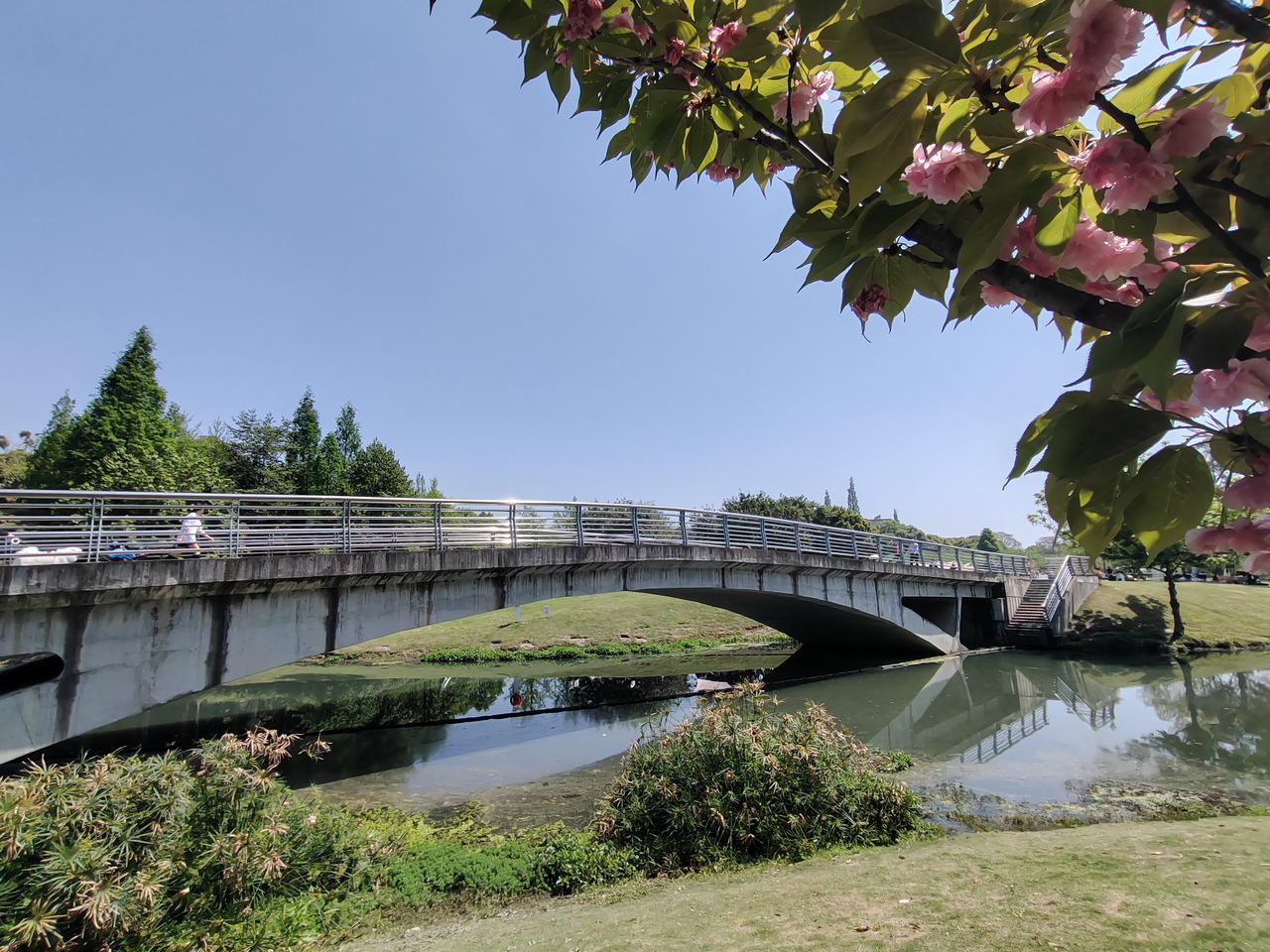 春日的风拂过枝头，粉花缀满枝叶，石桥静卧在碧水之上，蓝天澄澈，这般光景，是生活赠