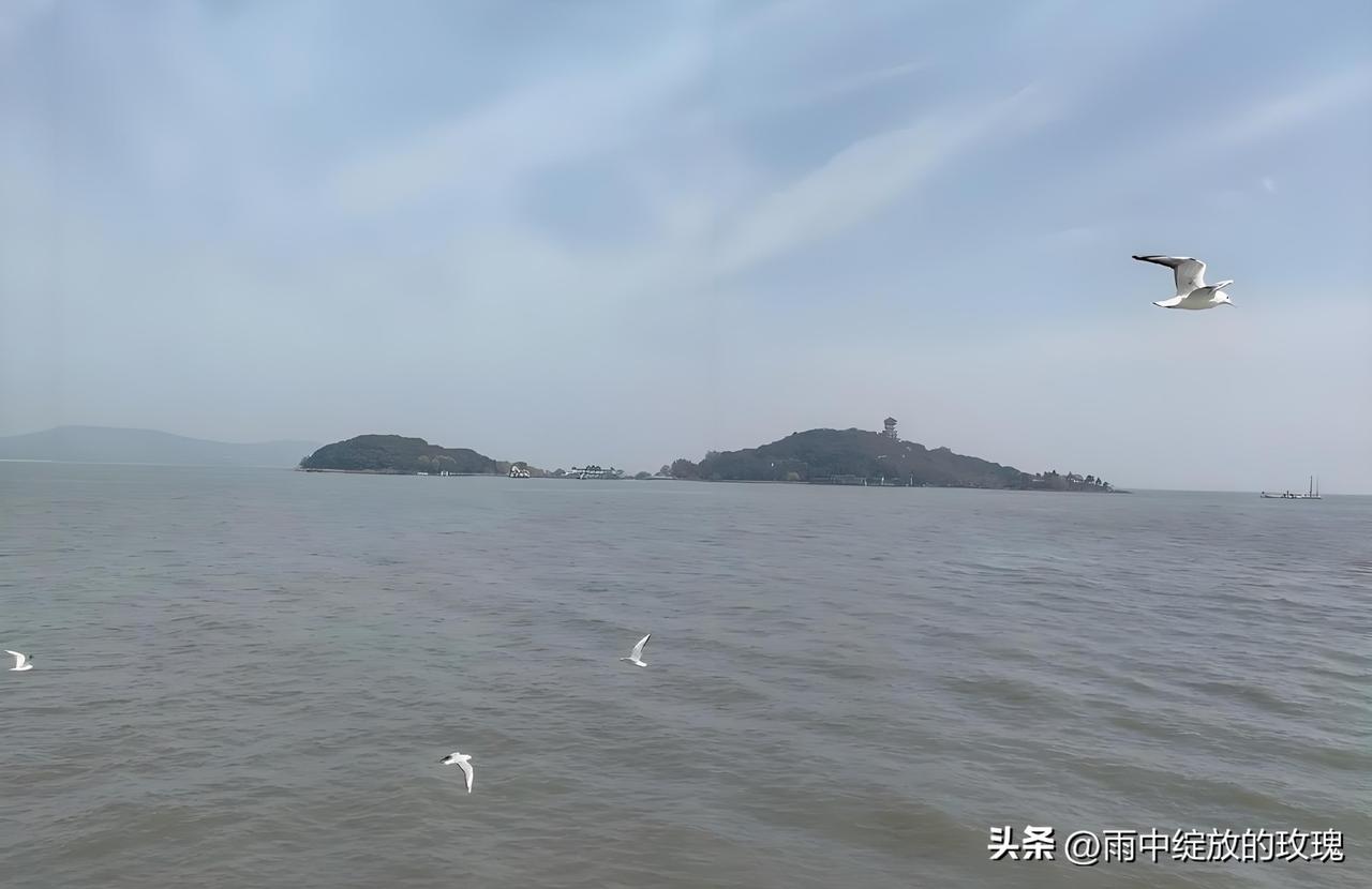 你敢信吗？太湖淤泥2.3米，水深却不到1.9米
 
一直觉得太湖烟波浩渺，看着特