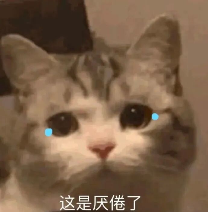 每天一条冷知识 研究发现，猫咪在没有完全吃饱的情况下停止进食，其实不是生病了，是