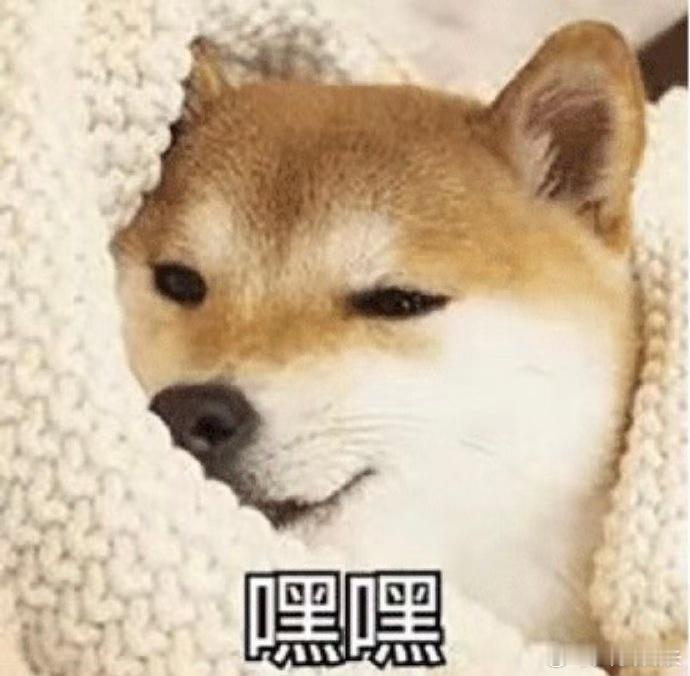 看好多人问哈弗大狗备案的事情，工信部已经给新前脸登记过了[并不简单][并不简单]