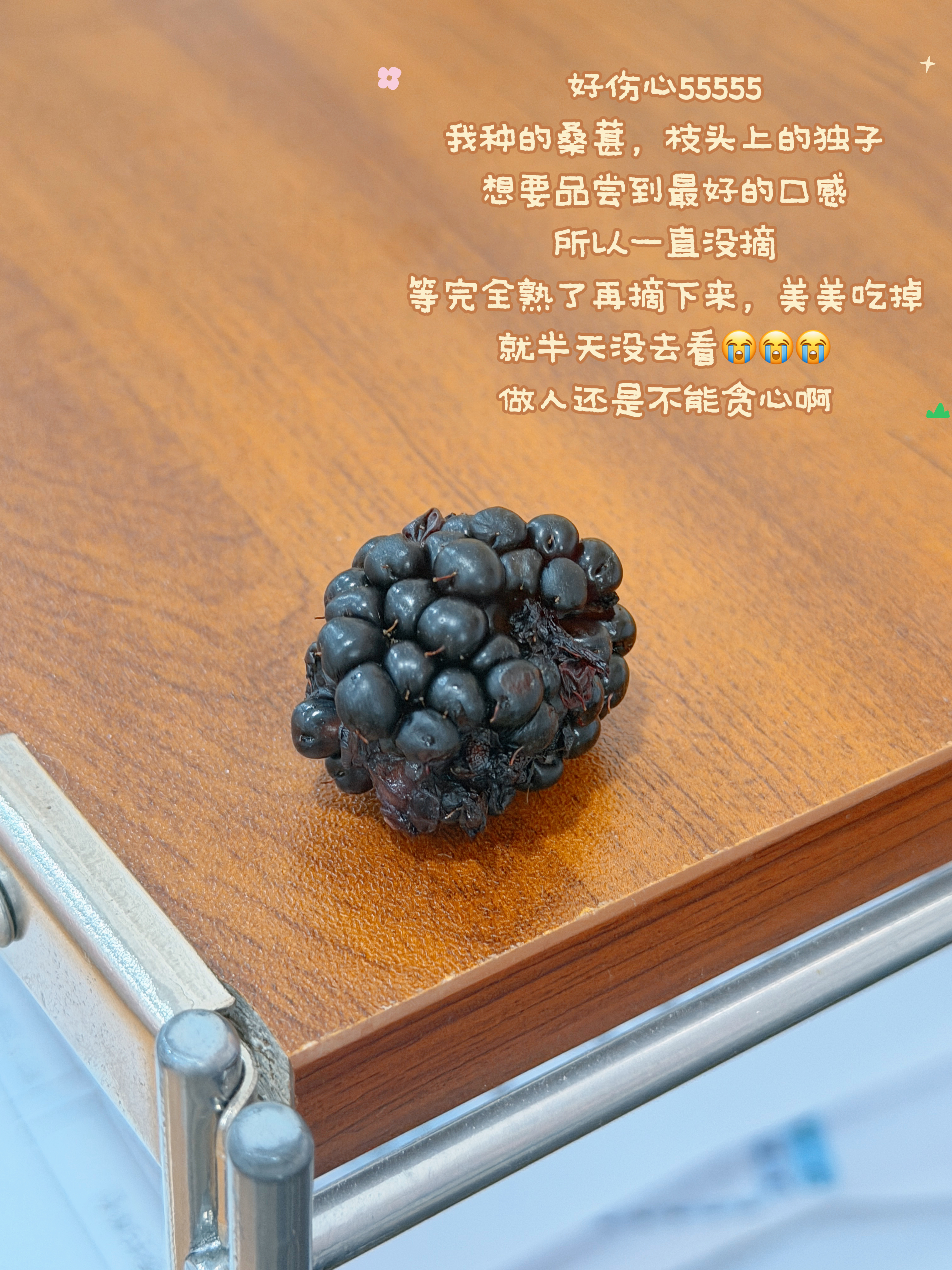 日常放送🧩 