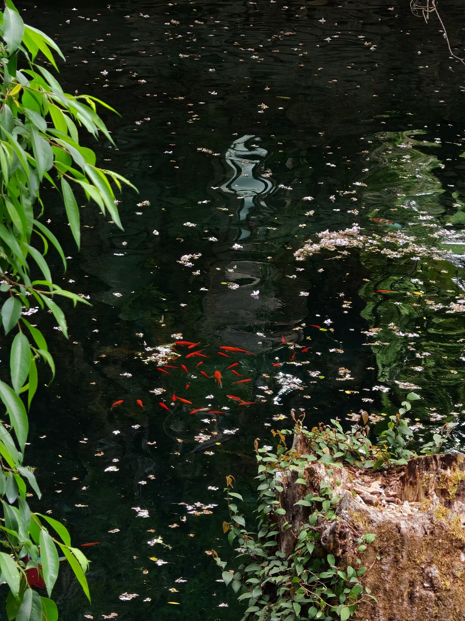 生活手记