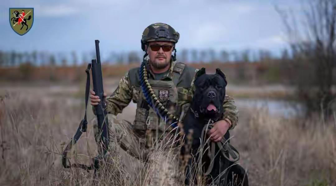 当地时间11月1日，乌军用一架美国制造的UH60“黑鹰”直升机在红军村/红军城方