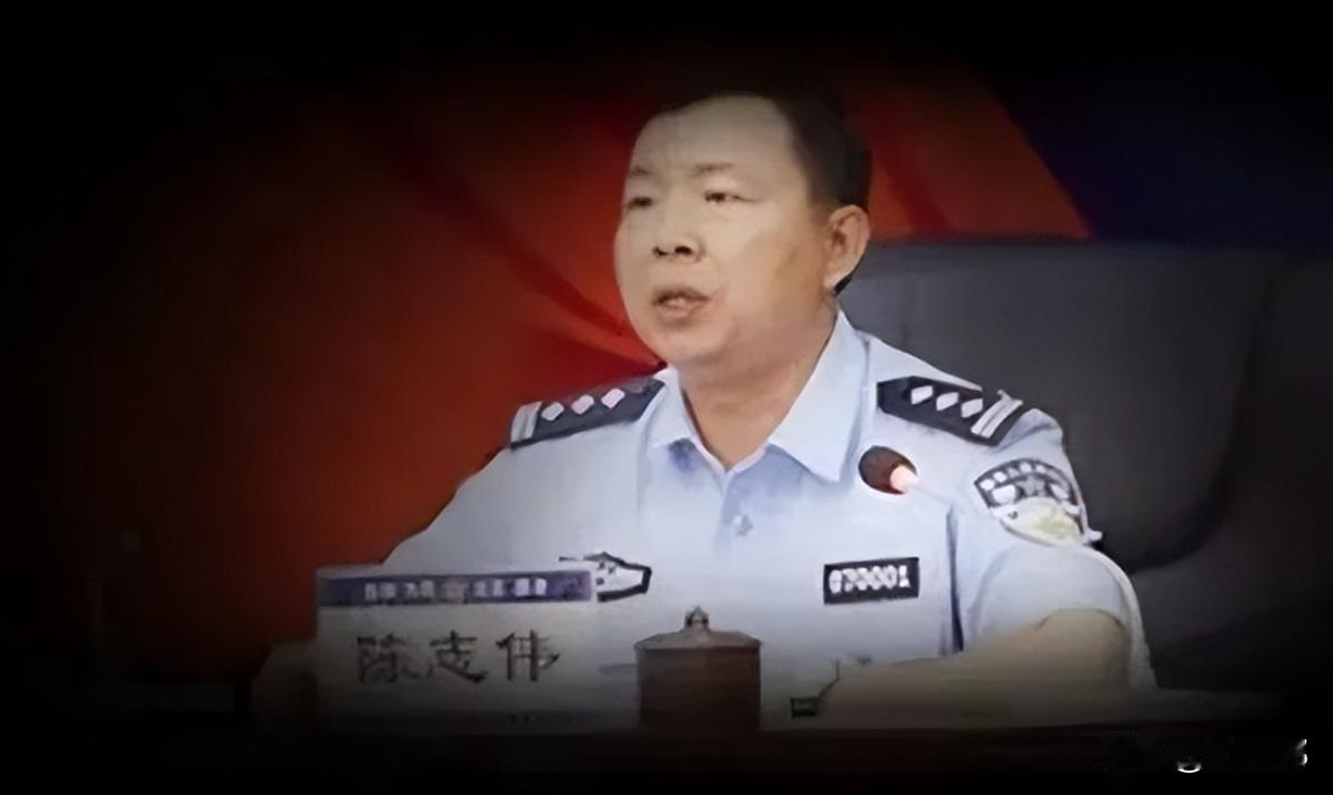 1993年，检察院书记员陈志伟，开枪打死 19 岁女孩，赔了 8 万就不了了之，