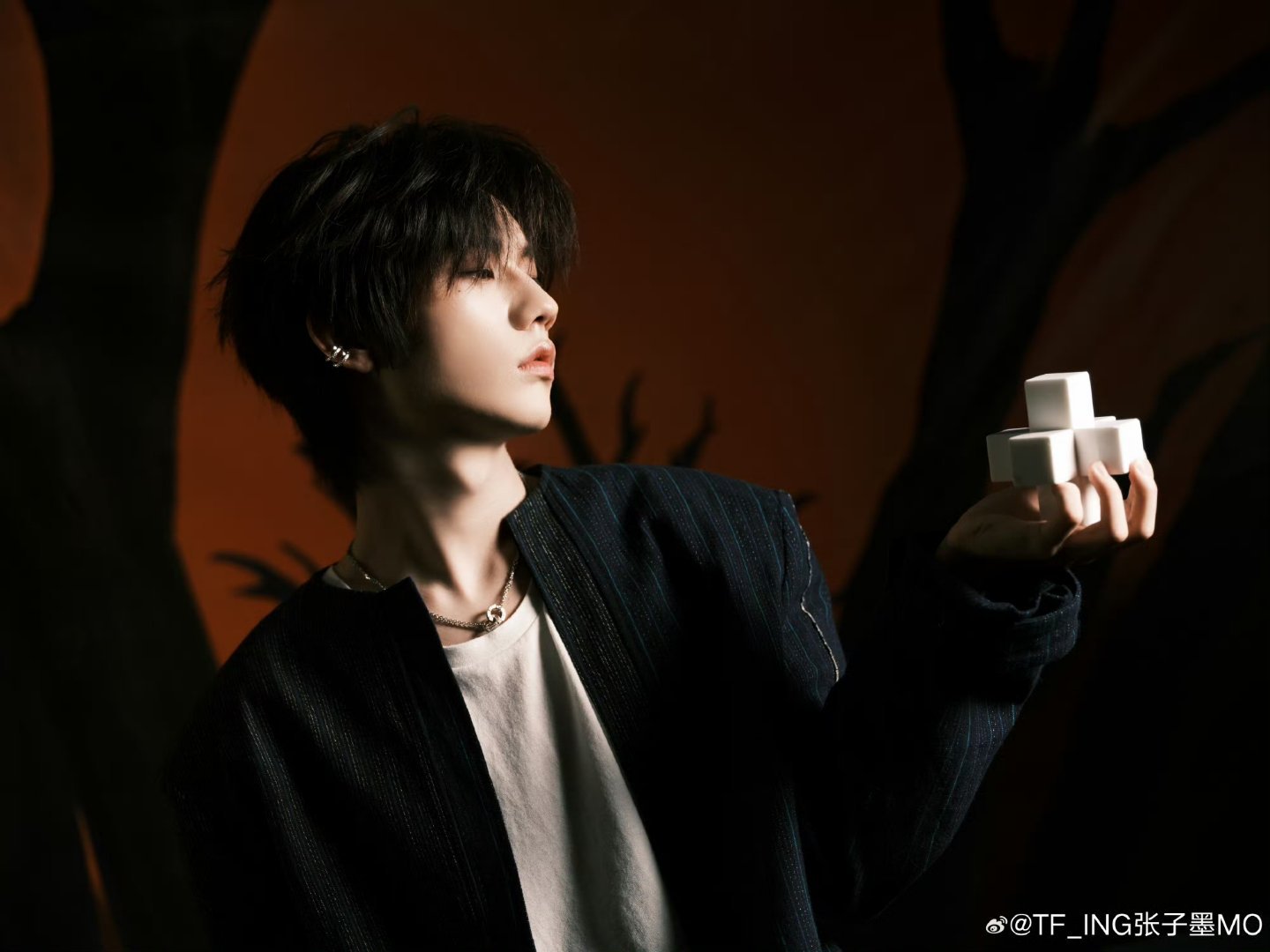 张子墨音乐节出图张子墨高清出图质感满分，现场live永远封神