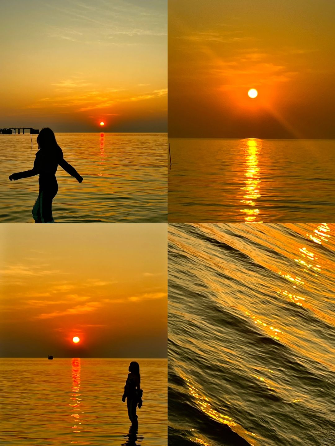 𝒍𝒊𝒗𝒆｜𝑶𝒓𝒂𝒏𝒈𝒆 𝑶𝒄𝒆𝒂𝒏🍊