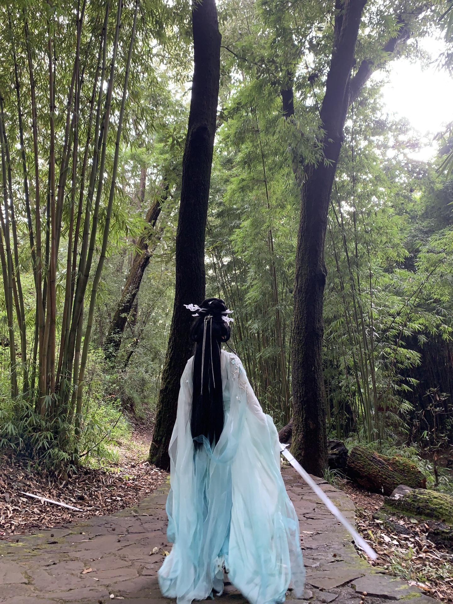 “好风凭借力 送我上青云”